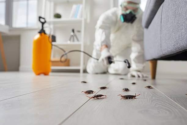Commercial Kitchen Cockroach Control in Monticello