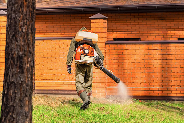 Cockroach Follow-Up and Monitoring in Monticello